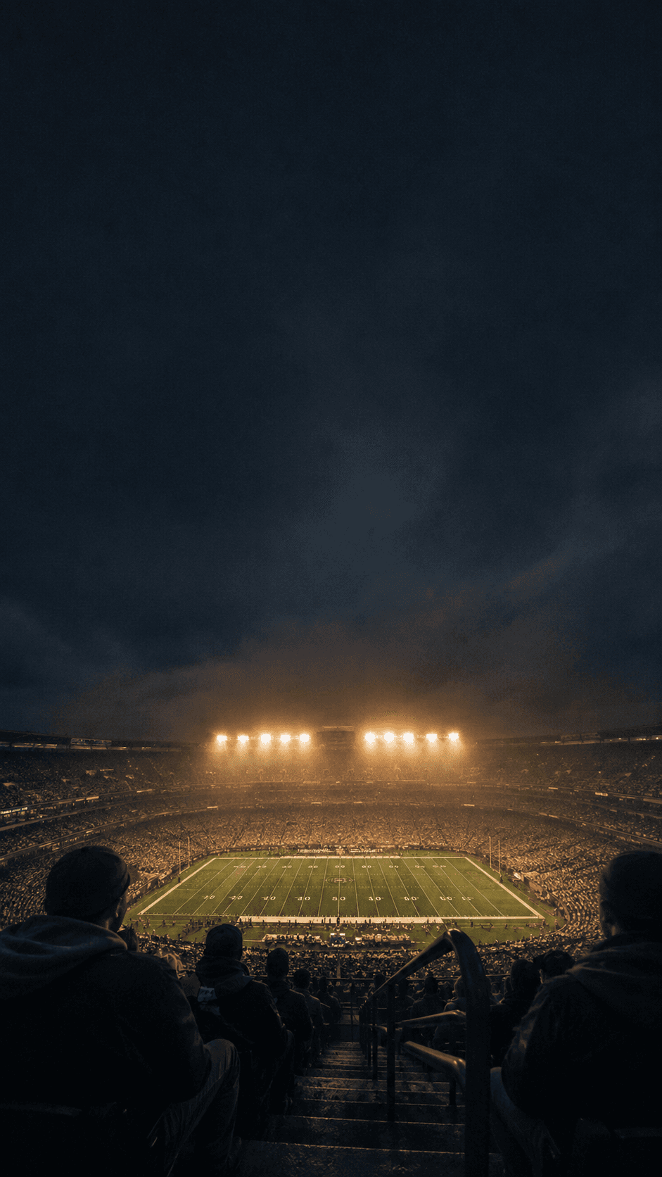 Football stadium under the lights